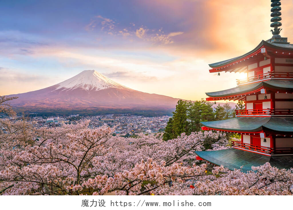 日本的富士山和美丽樱花风景富士山和楚里托红塔，日落时开满樱花
